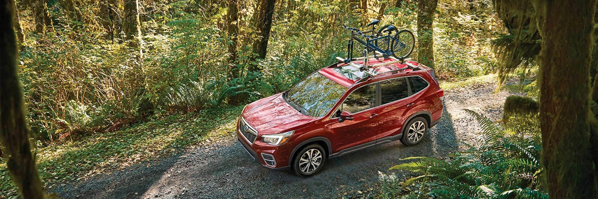 Bike rack subaru online forester 2020